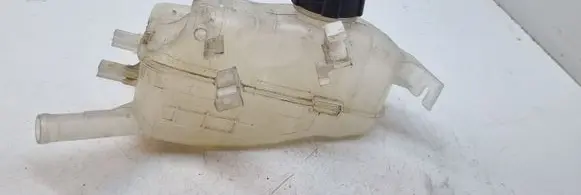 Renault Scenic III - Grand scenic III Coolant expansion tank/reservoir 217100005R