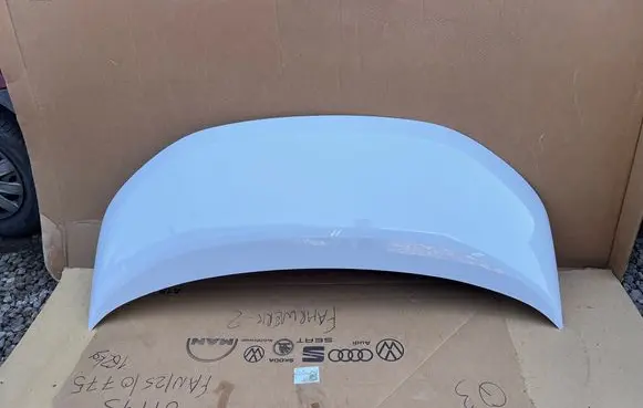 Volkswagen Multivan T7 Engine bonnet/hood 