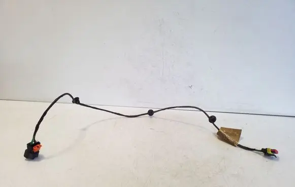 Other wiring loom