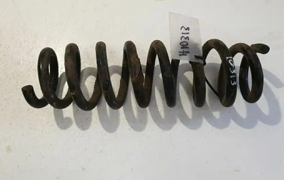 Rear coil spring