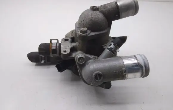 Thermostat/thermostat housing