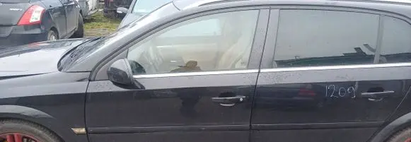 Opel Signum Front door