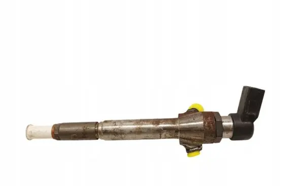 Renault Laguna III Fuel injector 8200294788