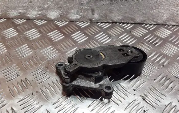 Ford Focus C-MAX Alternator belt tensioner 419484