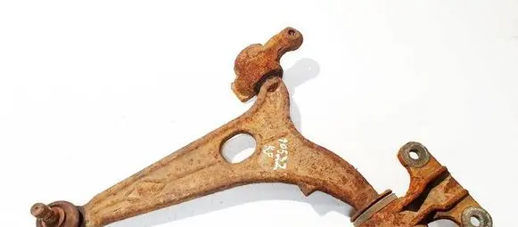 Front lower control arm/wishbone