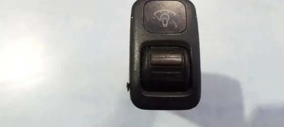 Panel lighting control switch