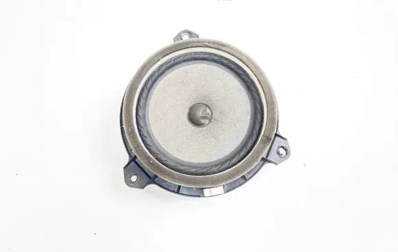 Rear door speaker