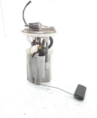 Renault Scenic III - Grand scenic III In-tank fuel pump 0580203120 172026141R