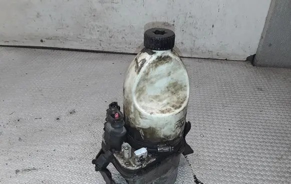 Electric power steering pump
