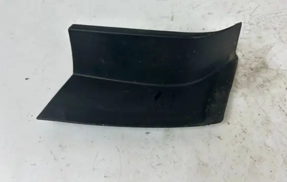 Rear/tail light trim molding
