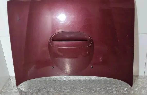 Nissan Terrano Engine bonnet/hood