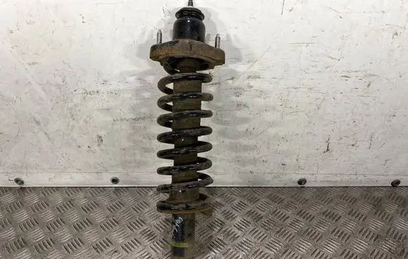 Mitsubishi Outlander Rear shock absorber/damper 4162A411
