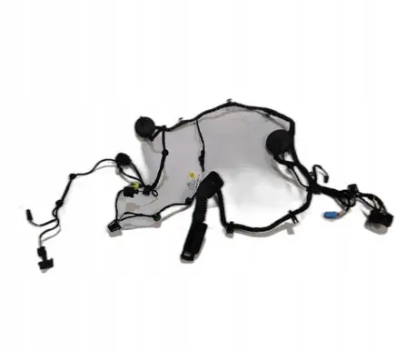 Audi R8 4S Front door wiring loom 4S8971029G