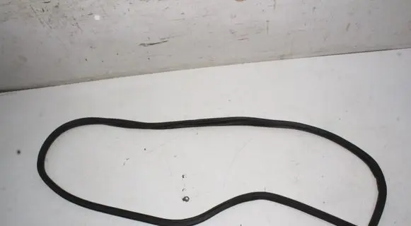 Ford Mustang Mach-E Rubber seal rear door LJ8BR253A10AD