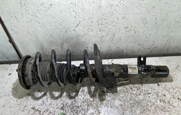 Citroen C3 Front shock absorber/damper 9672655880 22247095 086121948