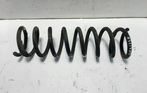 Rear coil spring