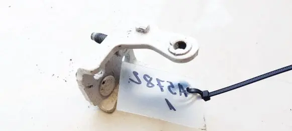 Rear door lower hinge