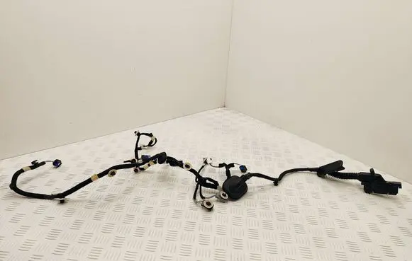 Renault Scenic E-Tech V Front door wiring loom 241252369R