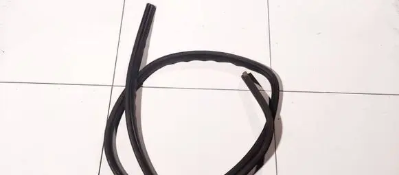 Ford Focus C-MAX Rubber seal rear door 