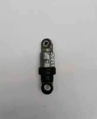 BMW 5 E39 Alternator belt tensioner F2272521100