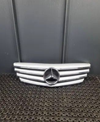 Mercedes-Benz B W245 Front bumper upper radiator grill A1698800783