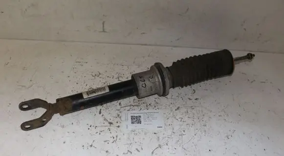 Mercedes-Benz CLS C219 Front shock absorber/damper A2193200713