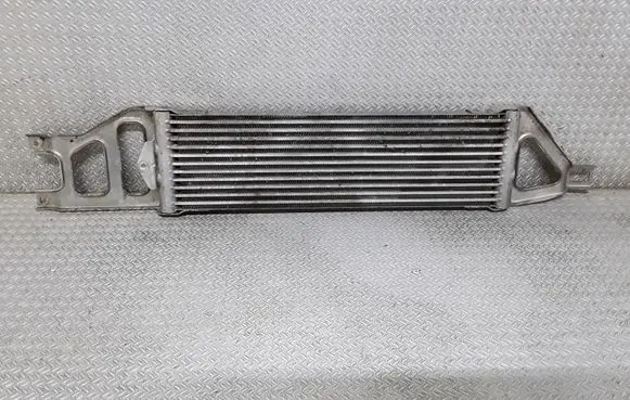 Mercedes-Benz A W169 Fuel cooler (radiator) A1695000600