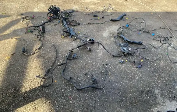 Volkswagen PASSAT B6 Wiring harness 0445527261
