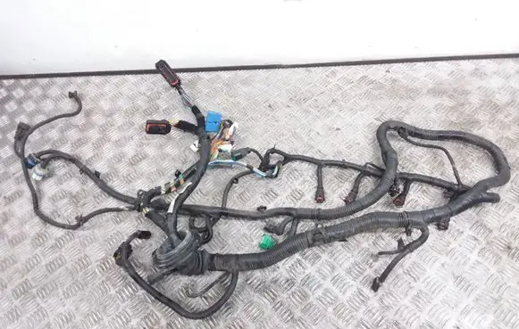 Engine installation wiring loom