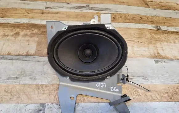 Rear door speaker
