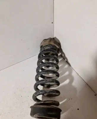 Rear coil spring