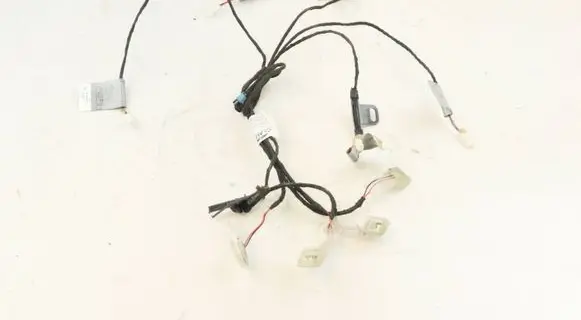 BMW X5 E70 Front door handle light (exterior) 7184660 7184659 14010710