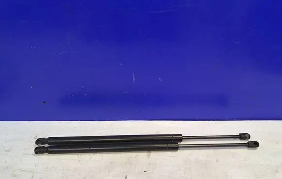 Chevrolet Tahoe Tailgate/trunk strut/damper 15827433