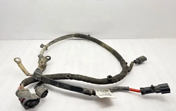 Other wiring loom