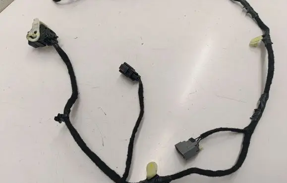 Ford Mustang Mach-E Rear door wiring loom PJ8T14632RBA