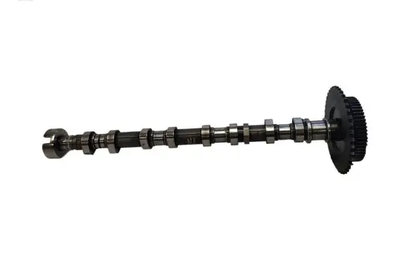 Opel Antara Camshaft 