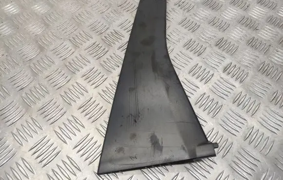 Rear door glass trim molding