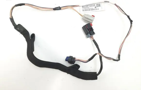 Rear door wiring loom