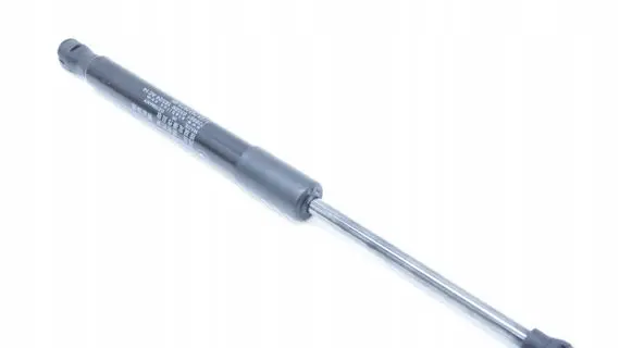 BMW Z4 g29 Tailgate strut 7437675