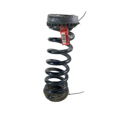 Dodge Charger Rear coil spring 05168899AC