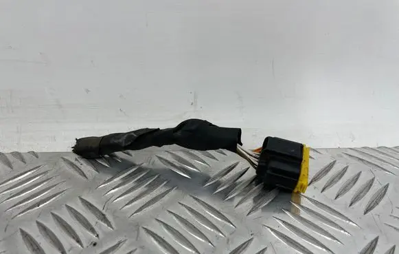 Hyundai Ioniq 5 Other wiring loom