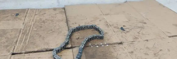 Ford Mustang VI Timing chain (engine) 