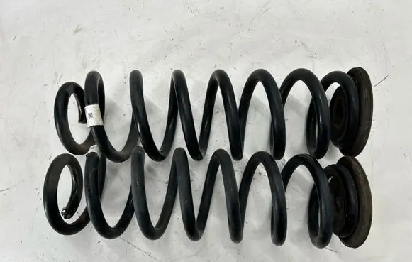 Rear coil spring