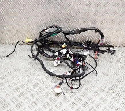 Tesla Model 3 Other wiring loom 111769000B