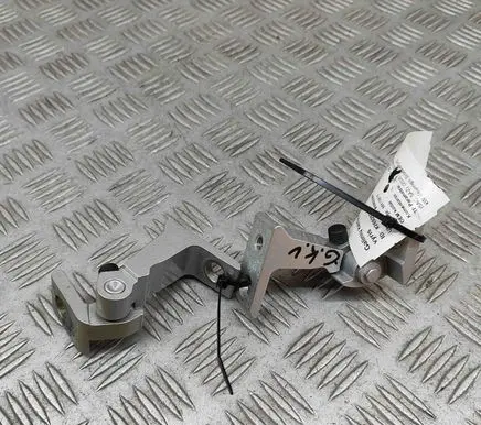 Rear door lower hinge