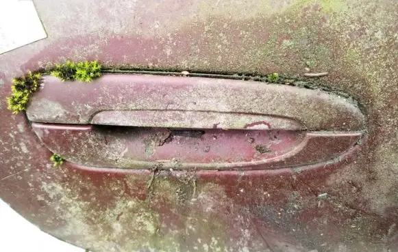 Mazda Xedos 6 Front door exterior handle