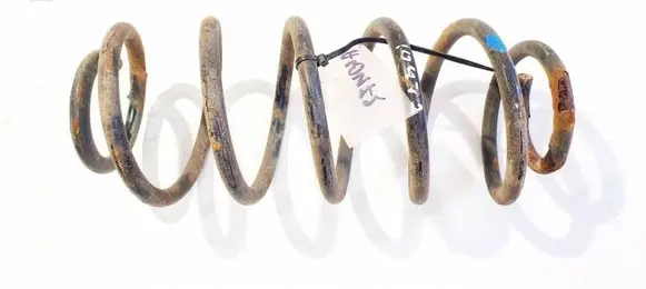 Rear coil spring