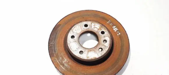 Chevrolet Captiva Front brake disc ventiliuojamas