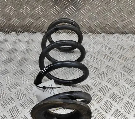 Rear coil spring