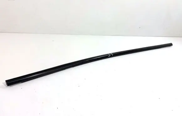 BMW X6 E71 Loading door glass trim molding 